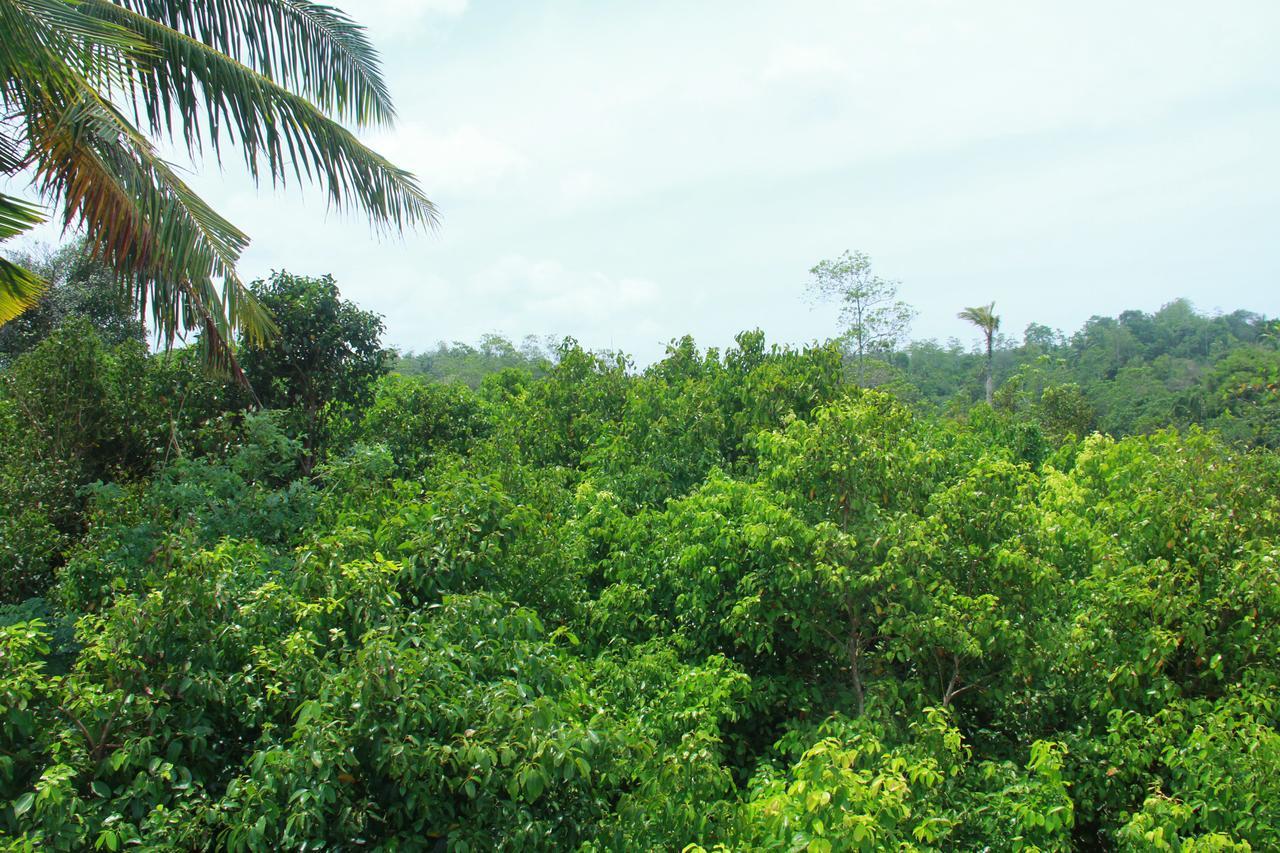 Mirissa Eco Hills Villa Exterior foto